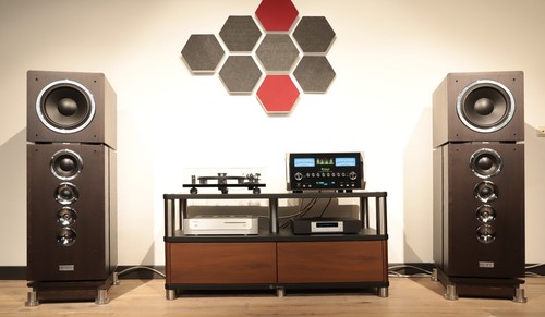 Dynaudio consequence - 2x,